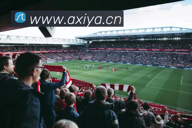 多媒体互动体验